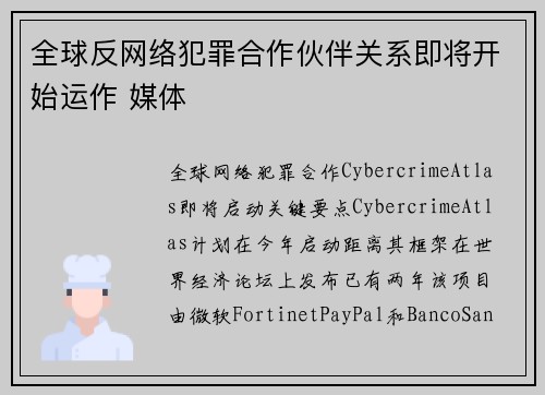 全球反网络犯罪合作伙伴关系即将开始运作 媒体